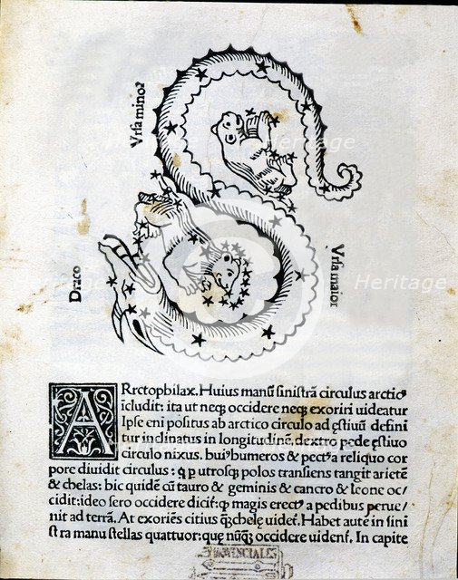 Ursa Major, Ursa Minor and Dragon, mithological interpretation of the constellations, engraving i…