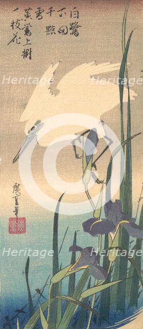 White Heron and Iris. Creator: Ando Hiroshige.