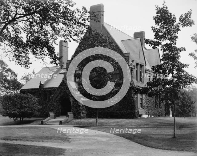 Divinity [School] Library, Harvard College, between 1900 and 1906. Creator: Unknown.