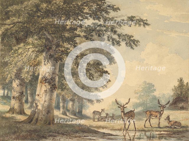 Deer under Beech Trees in Winter, 1853. Creator: Hendrik Gerrit ten Cate.