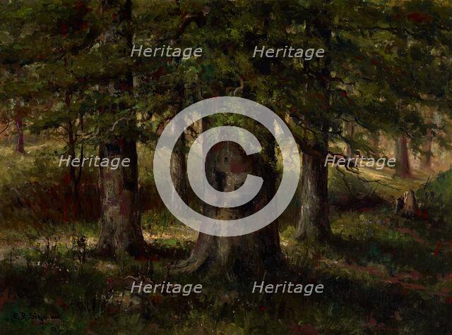 Landscape with Beech Trees, date unknown, c1900-1940. Creator: Edward Sitzman.