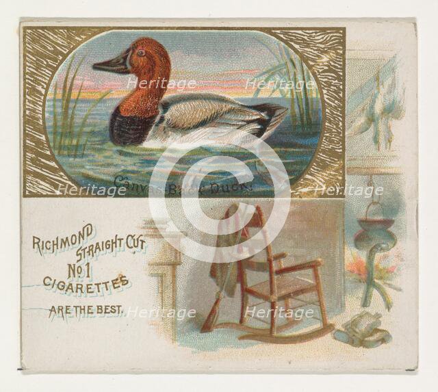 Canvas-Back Duck, from the Game Birds series (N40) for Allen & Ginter Cigarettes, 1888-90. Creator: Allen & Ginter.