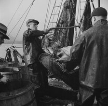 New England fishermen unloading fish at Fulton fish market, New York, 1943. Creator: Gordon Parks.