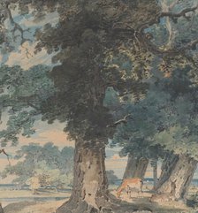 Deer in Windsor Forest, 1793-94. Creator: Thomas Girtin.