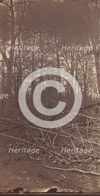 The Wilderness Battlefield, 1864. Creator: Unknown.