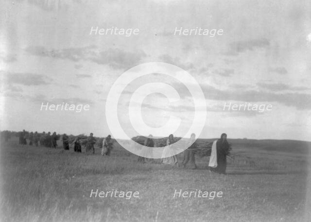 The brush-gatherers-Arikara, c1908. Creator: Edward Sheriff Curtis.