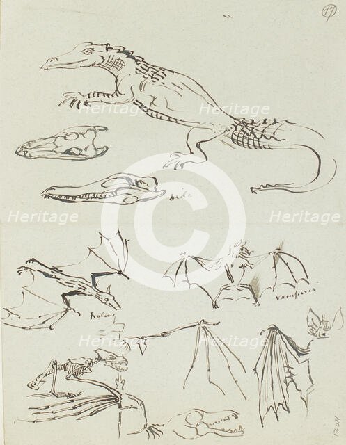 Humorous sketches of crocodiles and bats, c1870s. Creator: Henry Hugh Armstead.