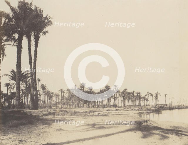 El-Nâcérah, Dattiers, Rives du Nil et Barques, 1851-52, printed 1853-54. Creator: Félix Teynard.