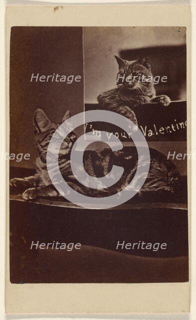 I'm Your Valentine., about 1865. Creator: Henry Pointer.