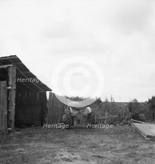 Arnold yard, Michigan Hill, Thurston County, Western Washington, 1939. Creator: Dorothea Lange.