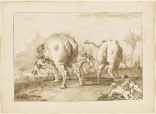 Two Rampaging Elephants, 1790/1792. Creator: Giovanni Battista Tiepolo.