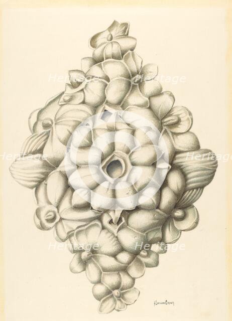 Bishop Hill: Ceiling Decoration, 1939. Creator: H. Langden Brown.