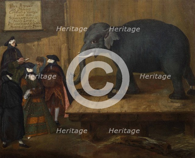The Elephant, 1774.