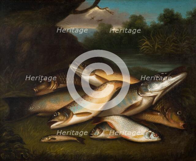 Fish, 1790. Creator: Moses Haughton.