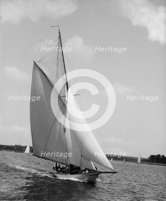 Eidolon, 1895 June 15. Creator: John S Johnston.