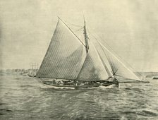 'Cruising in Port Jackson', 1901. Creator: Unknown.