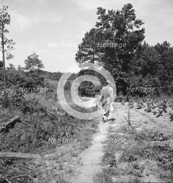 Lunchtime for colored tenant who is helping build...barn, Chatham County, North Carolina, 1939. Creator: Dorothea Lange.