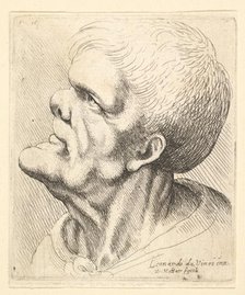 Head of a man with protruding chin and snub nose looking upwards in profile to left, 1625-77. Creator: Wenceslaus Hollar.