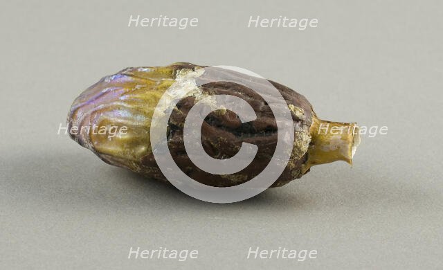 Bottle in the Shape of a Date, 2nd century. Creator: Unknown.