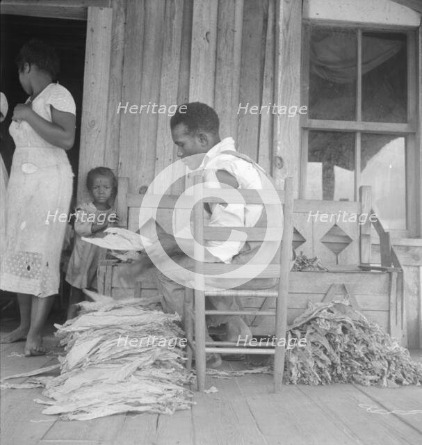 Sharecroppers grade the cured leaves on the porches...tobacco auction, near Douglas, Georgia, 1938. Creator: Dorothea Lange.