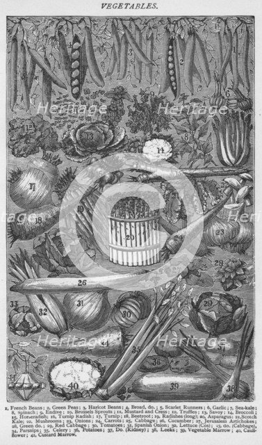 'Vegetables', 1907, (1907). Artist: Unknown.