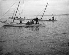 Oyster dredging, between 1900 and 1910. Creator: Unknown.