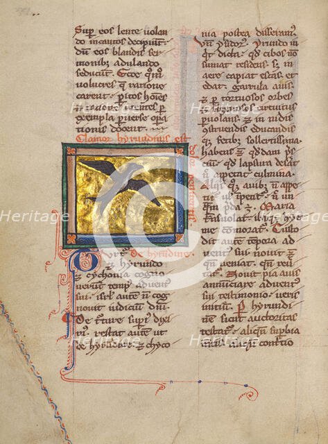 A Swallow; Bestiary, about 1270. Creator: Unknown.