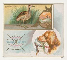 American Bittern, from the Game Birds series (N40) for Allen & Ginter Cigarettes, 1888-90. Creator: Allen & Ginter.