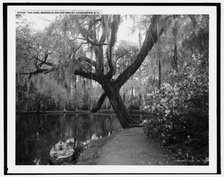 The Lake, Magnolia-on-the-Ashley, Charleston, S.C., c1907. Creator: Unknown.