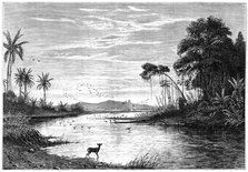 A river scene in Venezuela, 1877. Artist: Unknown