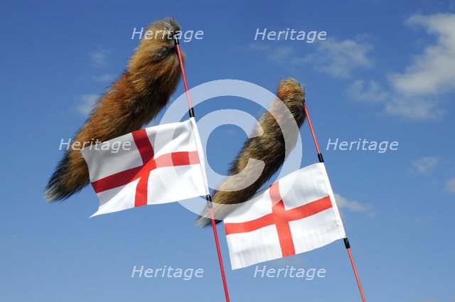 Tiger tail mod accessories on scooter. Artist: Unknown.