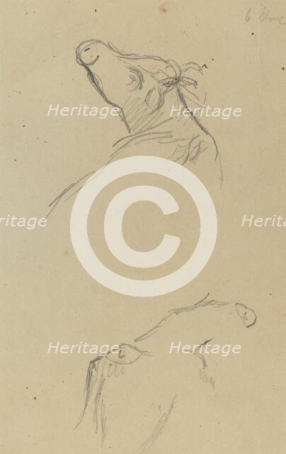 Two Cow's Heads [verso], 1884-1888. Creator: Paul Gauguin.