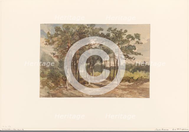 Tree group in the forests near Driebergen, c.1855-c.1865. Creator: Charles Rochussen.