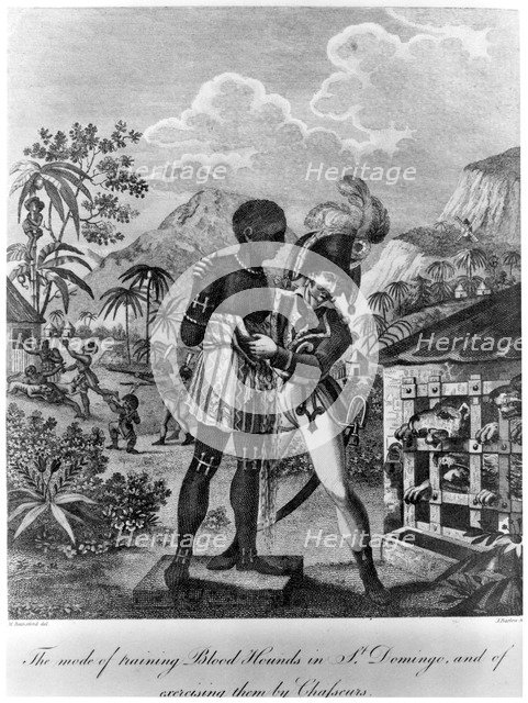 The Mode of training Blood Hounds in St Domingo and of exercising them by Chasseurs, 1805.  Artist: John Barlow