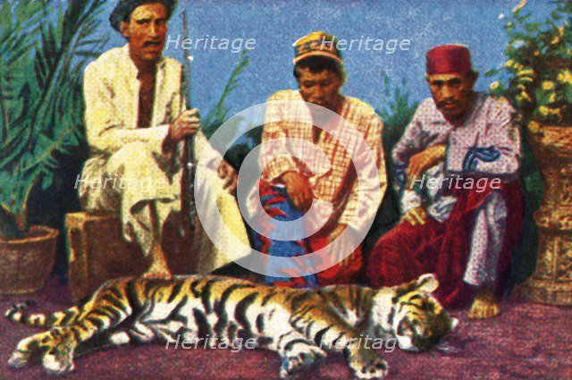 Hunters with dead tiger in Sumatra, c1928. Creator: Unknown.