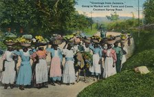 Greetings from Jamaica. Going to Market with Yams and Canes. Constant Spring Road', 1913. Creator: Unknown.