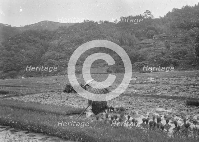 Travel views of Japan and Korea, 1908. Creator: Arnold Genthe.