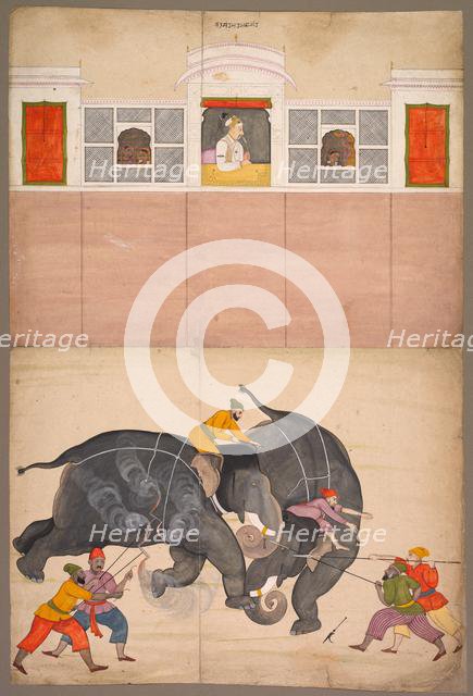 Two Elephants Fighting in a Courtyard Before Muhammad Shah, c. 1730-40. Creator: Nainsukh (Indian, 1710-1778), attributed to.