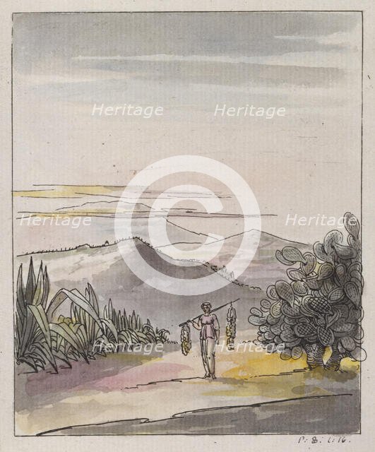 Hedges of Aloes and Fig Trees, 1786.  Creator: Elias Martin.