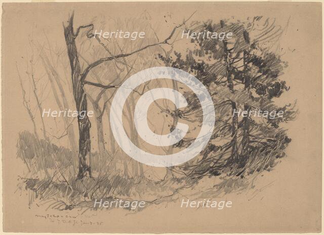 Wood Interior, 1920. Creator: Charles Herbert Woodbury.