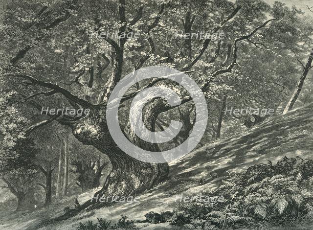 'At Coney Hill, Hayes Common, Kent', c1870.