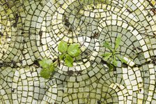 Mosaic floor, Doxford House, Silksworth, Sunderland, 2014. Creator: Alun Bull.