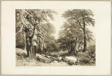 Beech Trees in Arundale Park, from The Park and the Forest, 1841. Creator: James Duffield Harding.