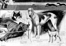Sketches at the Ladies' Kennel Association's first show, at the Ranelagh Club, Barn Elms, 1895. Creator: Plummer & Co.