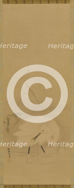 A spoonbill and water-grass, Edo period, mid 17th century. Creator: School of Kano Tan'yu.