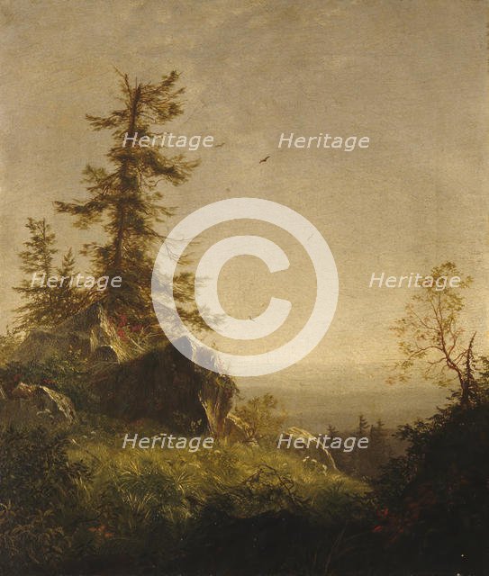 Morning on the Mountain, 1856. Creator: Richard William Hubbard.