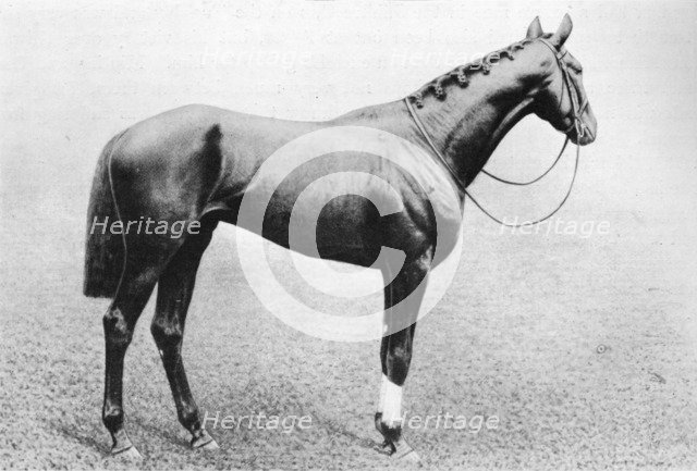 'Jeddah', 1895-1909, (1911). Artist: Unknown.