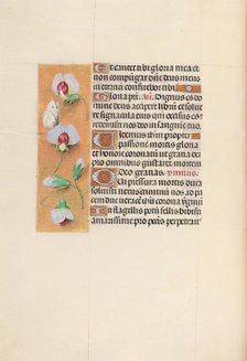 Hours of Queen Isabella the Catholic, Queen of Spain: Fol. 74v, c. 1500. Creator: Master of the First Prayerbook of Maximillian (Flemish, c. 1444-1519); Associates, and.