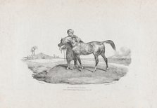 An Arabian Horse, 1821. Creators: Theodore Gericault, Charles Joseph Hullmandel.