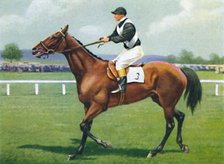 Shalfleet, Jockey: R. Perryman', 1939. Artist: Unknown.